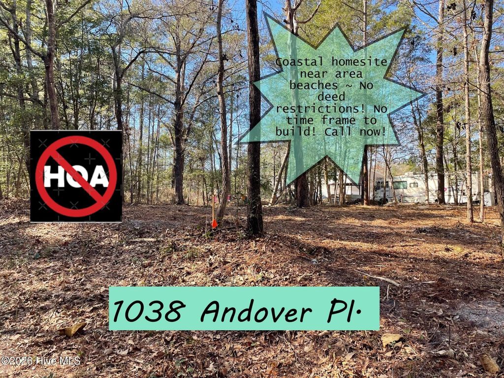 1038 Andover Place SE, Bolivia, NC 28422