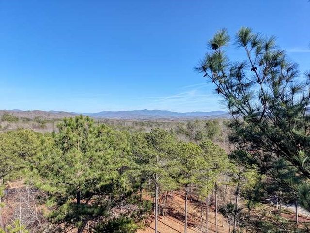 Lot 28 The Hills At Queens Gap, Blairsville, GA 30512