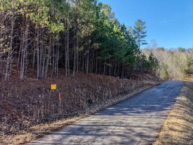 Lot 28 The Hills At Queens Gap, Blairsville, GA 30512