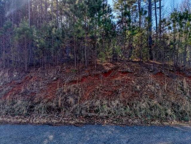 Lot 28 The Hills At Queens Gap, Blairsville, GA 30512