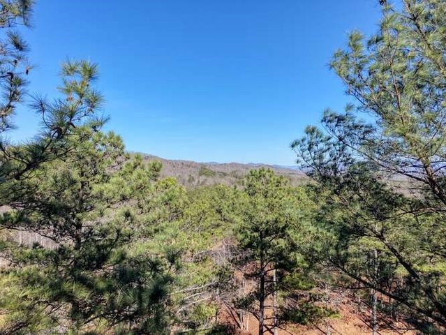 Lot 28 The Hills At Queens Gap, Blairsville, GA 30512