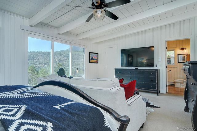 16821 County Road 162 K, Nathrop, CO 81236