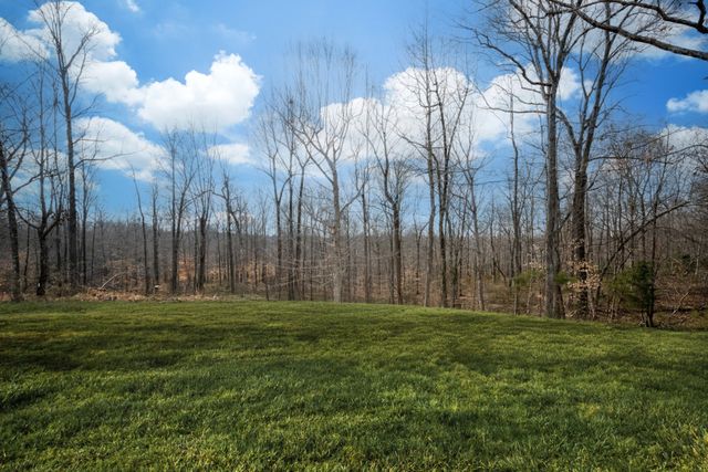 3033 Bowker Road, Charlotte, TN 37036