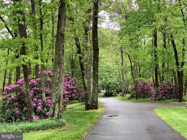 65 BORTONS RD, Marlton, NJ 08053