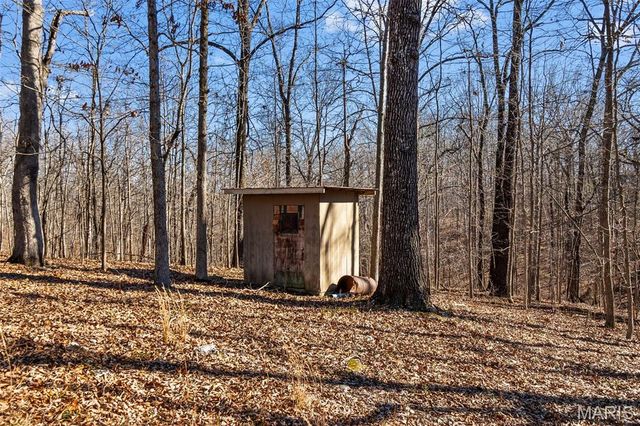 28 Oak Drive, Wappapello, MO 63966