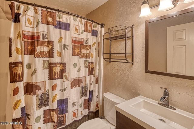 3011 S WAPITI Lane, Pinetop, AZ 85935