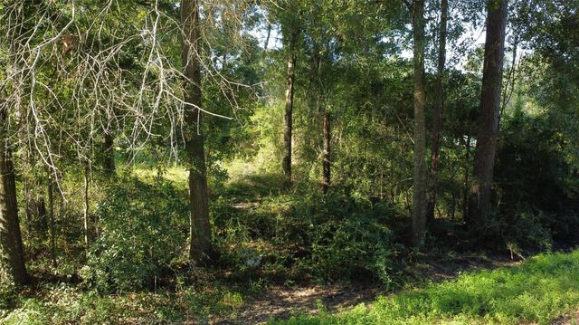 00 Spanish Oaks Dr, New Caney, TX 77357