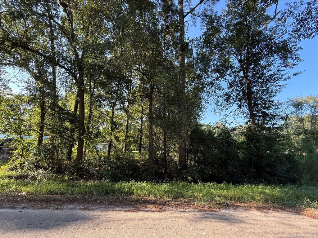 00 Spanish Oaks Dr, New Caney, TX 77357