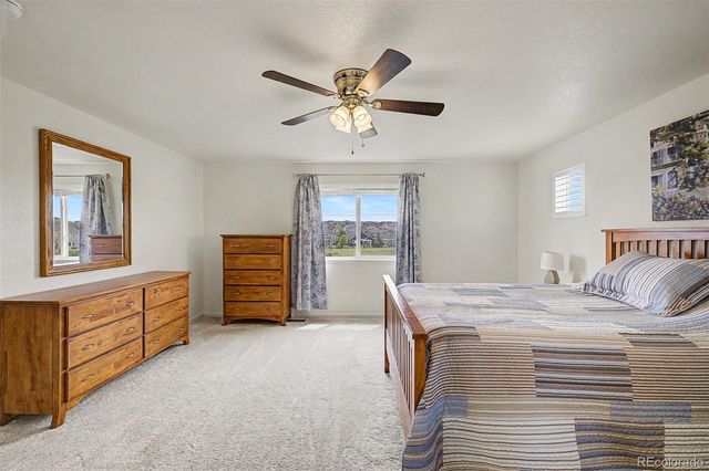 4451 Mcmurdo Court, Castle Rock, CO 80108