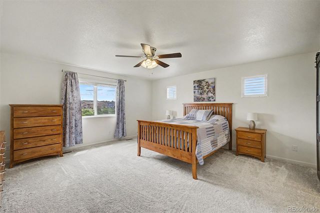 4451 Mcmurdo Court, Castle Rock, CO 80108