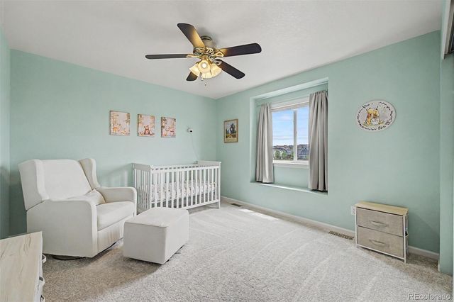 4451 Mcmurdo Court, Castle Rock, CO 80108