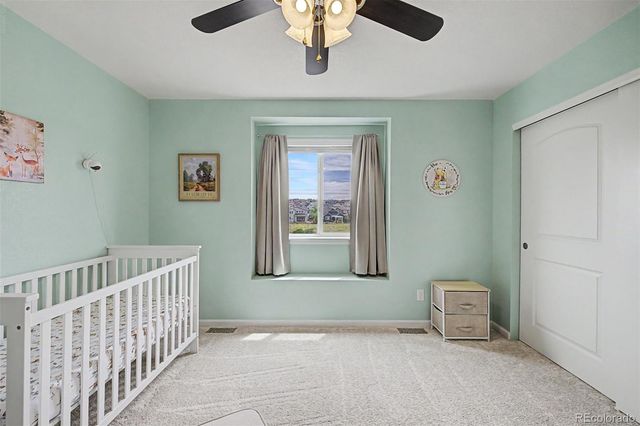 4451 Mcmurdo Court, Castle Rock, CO 80108