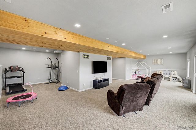 4451 Mcmurdo Court, Castle Rock, CO 80108