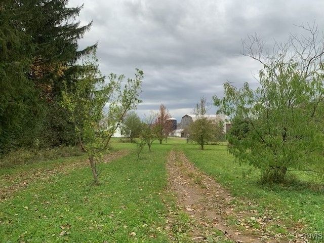 4634 Roberts Road, Fenner, NY 13035