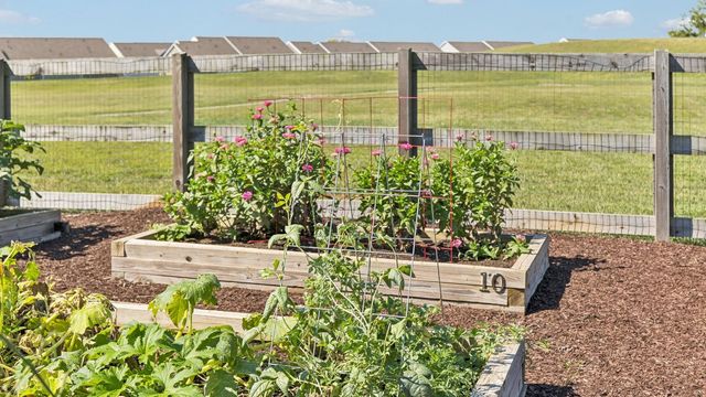 287 Harvest Point Blvd, Spring Hill, TN 37174