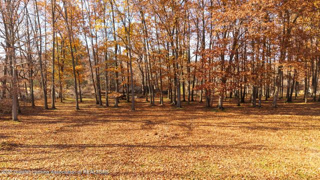 6125 Brooks Landing, Dimondale, MI 48821