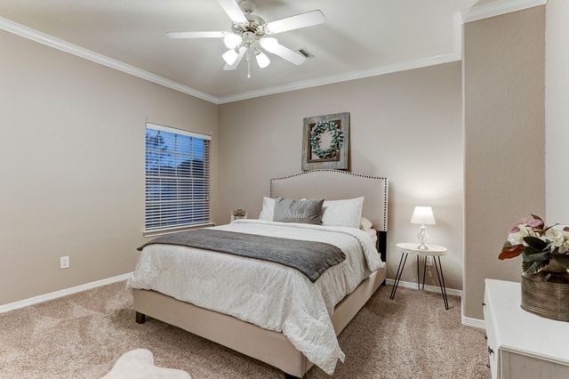 1214 Peregrine Drive, Friendswood, TX 77546