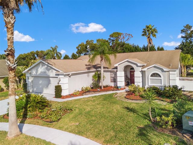 13732 TRIUMPH COURT, Hudson, FL 34667