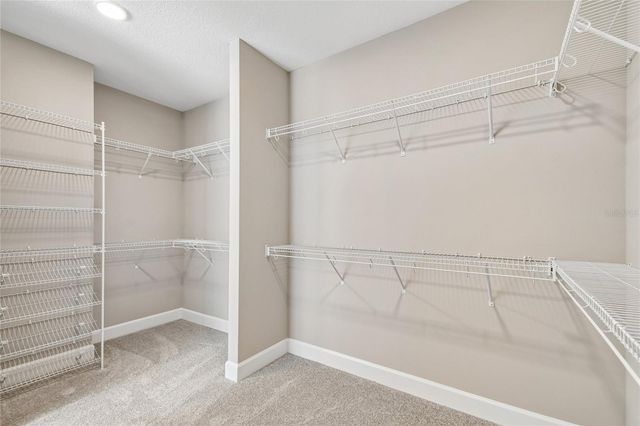 3318 WOLF LAKE AVENUE, Apopka, FL 32712