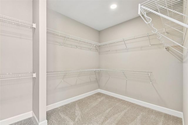3318 WOLF LAKE AVENUE, Apopka, FL 32712