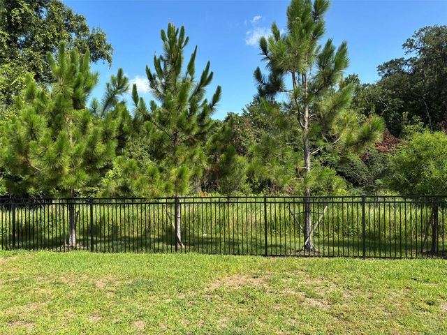 4581 SPARKLING SHELL AVE, Kissimmee, FL 34746