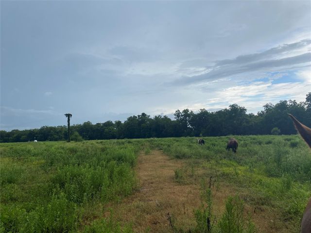 0 Texaco Road, Thompson, TX 77481