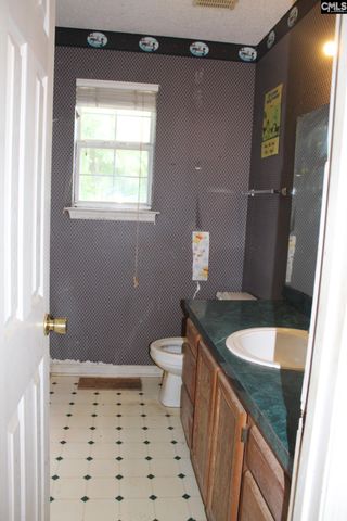 14 Holliston Court, Chapin, SC 29036