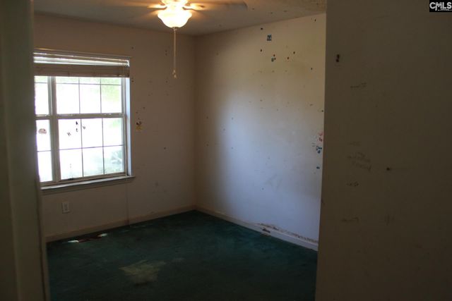 14 Holliston Court, Chapin, SC 29036