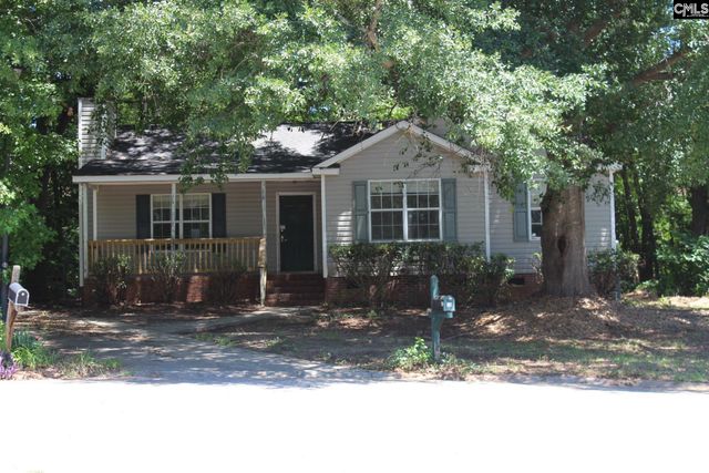 14 Holliston Court, Chapin, SC 29036