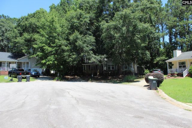 14 Holliston Court, Chapin, SC 29036
