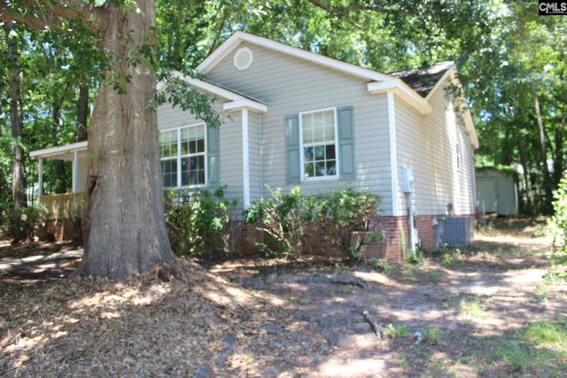 14 Holliston Court, Chapin, SC 29036
