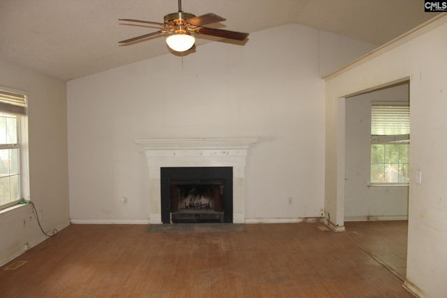 14 Holliston Court, Chapin, SC 29036