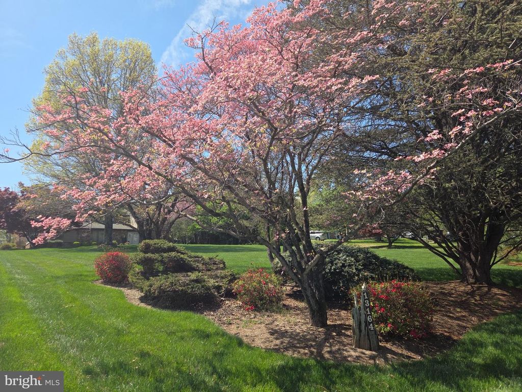 Image 40 of property listing at 13164 HOLLY LOCH LN, Highland, MD 20777