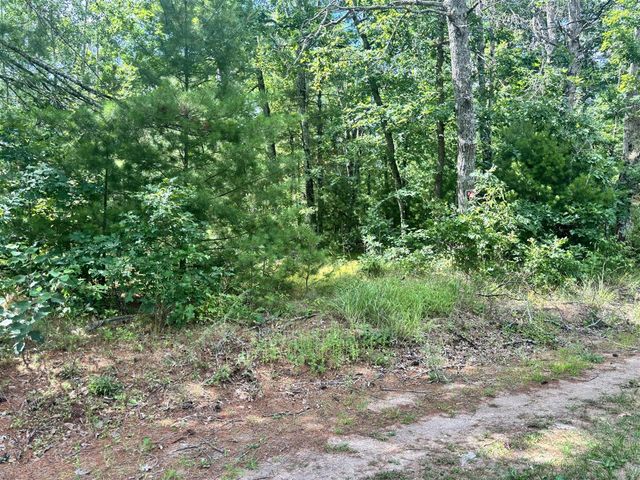 8283 S Harperwoods St Terrace, Idlewild, MI 49642