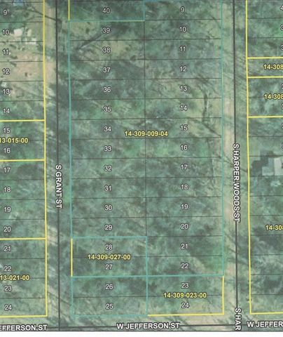 8283 S Harperwoods St Terrace, Idlewild, MI 49642