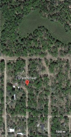 8283 S Harperwoods St Terrace, Idlewild, MI 49642