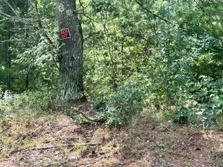8283 S Harperwoods St Terrace, Idlewild, MI 49642