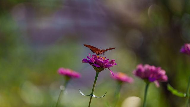 T-13 Providence Road, Calvert, TX 77837