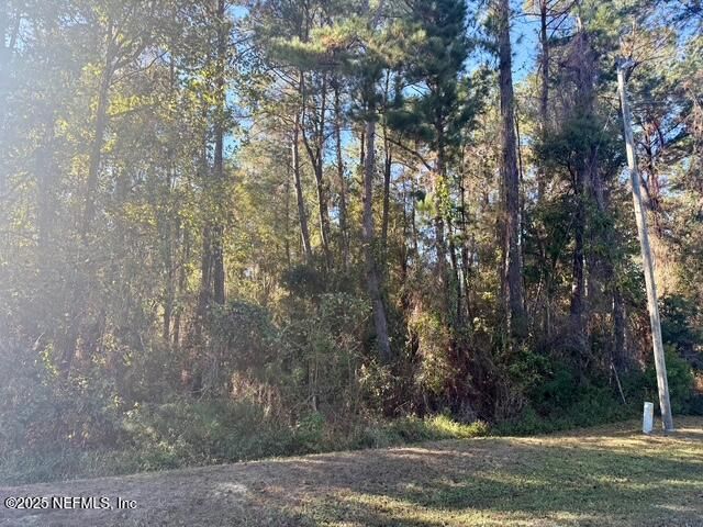 118 RAMSEY Drive, Grandin, FL 32138