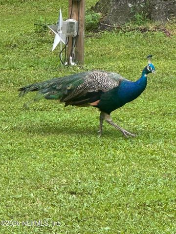 3084 JOE JOHNS Road, Middleburg, FL 32068