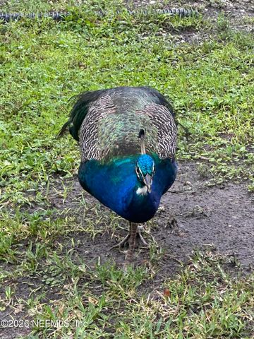 3084 JOE JOHNS Road, Middleburg, FL 32068