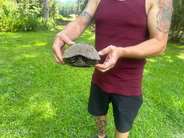 3084 JOE JOHNS Road, Middleburg, FL 32068