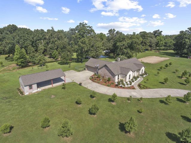 244 County Road 2321, Pittsburg, TX 75686