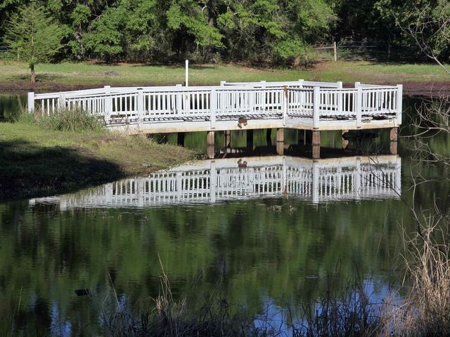 244 County Road 2321, Pittsburg, TX 75686