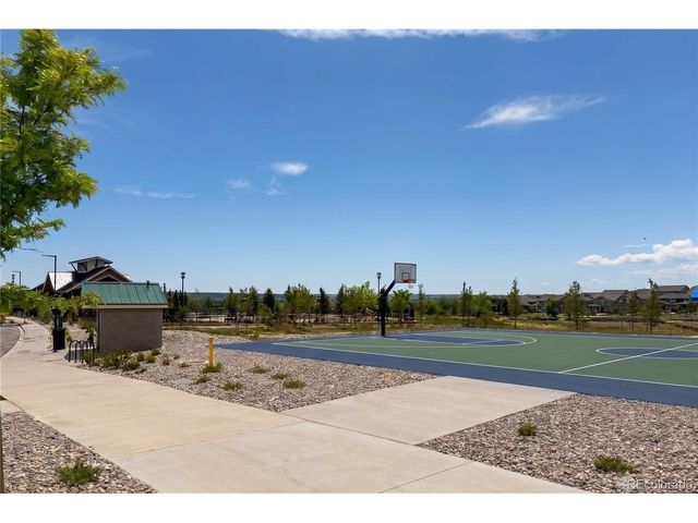 16809 Black Rose Cir, Parker, CO 80134