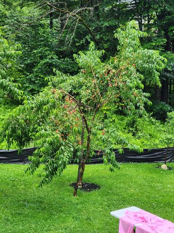 78 Pinebrook Road, Waitsfield, VT 05673