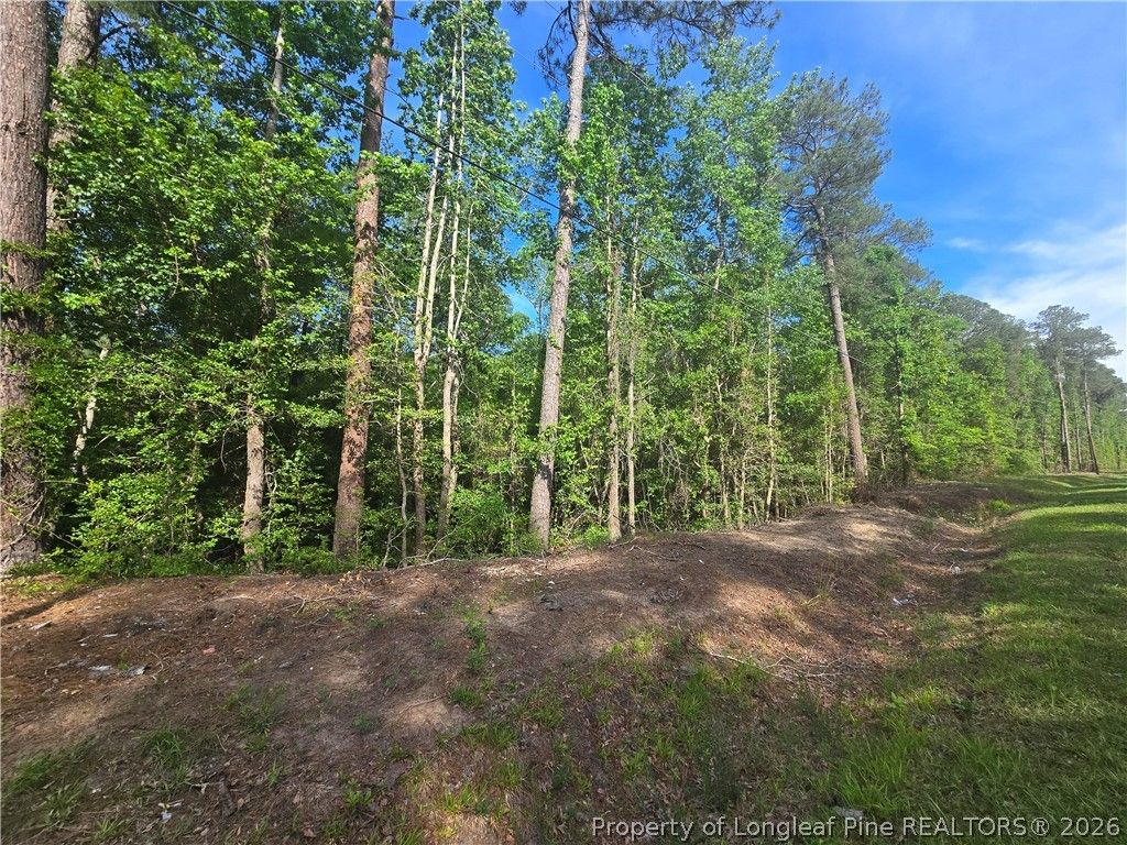 TBD Cabins Creek Road, Vass, NC 28394 — exterior