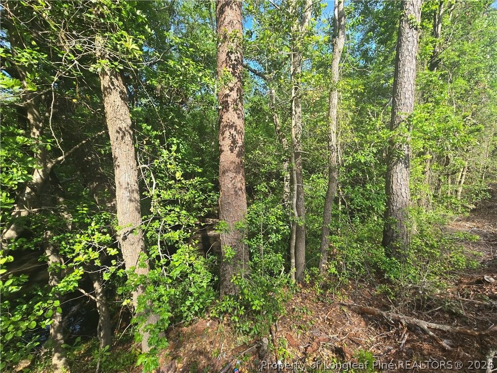 TBD Cabins Creek Road, Vass, NC 28394 — photo 2