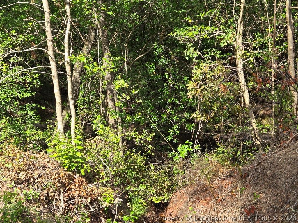 TBD Cabins Creek Road, Vass, NC 28394 — photo 3