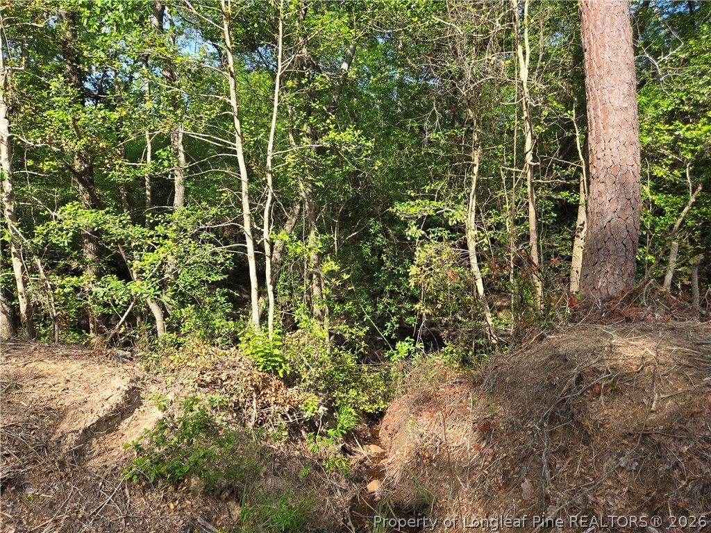 TBD Cabins Creek Road, Vass, NC 28394 — photo 4